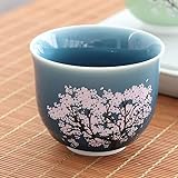 PORI Taza Japonesa de Temperatura fría, Taza de té Que Cambia de Color, Juego de Tazas de Kung Fu de cerámica, Regalo para Amigos