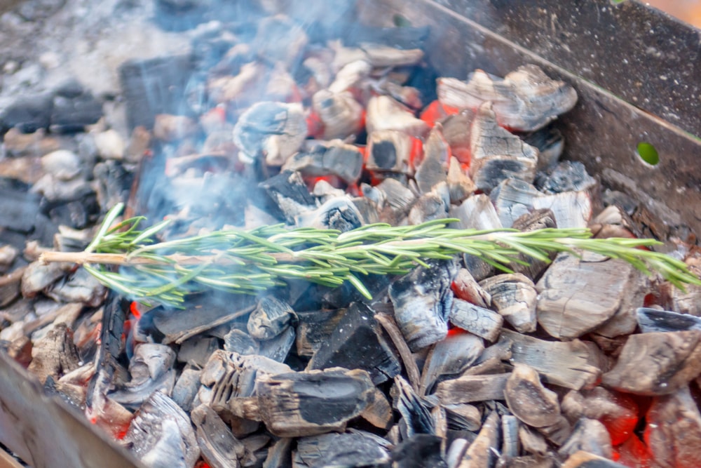 Como Encender Una Barbacoa Con Carbon Cómo encender una barbacoa de carbón vegetal: ¡Los mejores Tips!