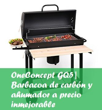 oneconcept-gq5-barbacoa