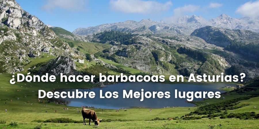 donde hacer barbacoas en asturias