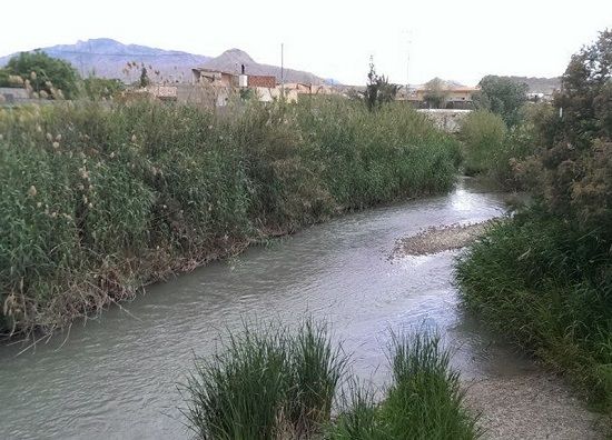 donde hacer barbacoas en Murcia presa del río muerto