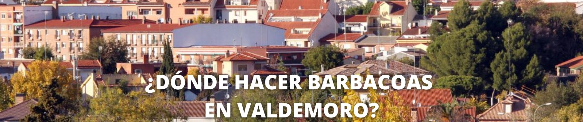 DONDE HACER BARBACOAS EN VALDEMORO